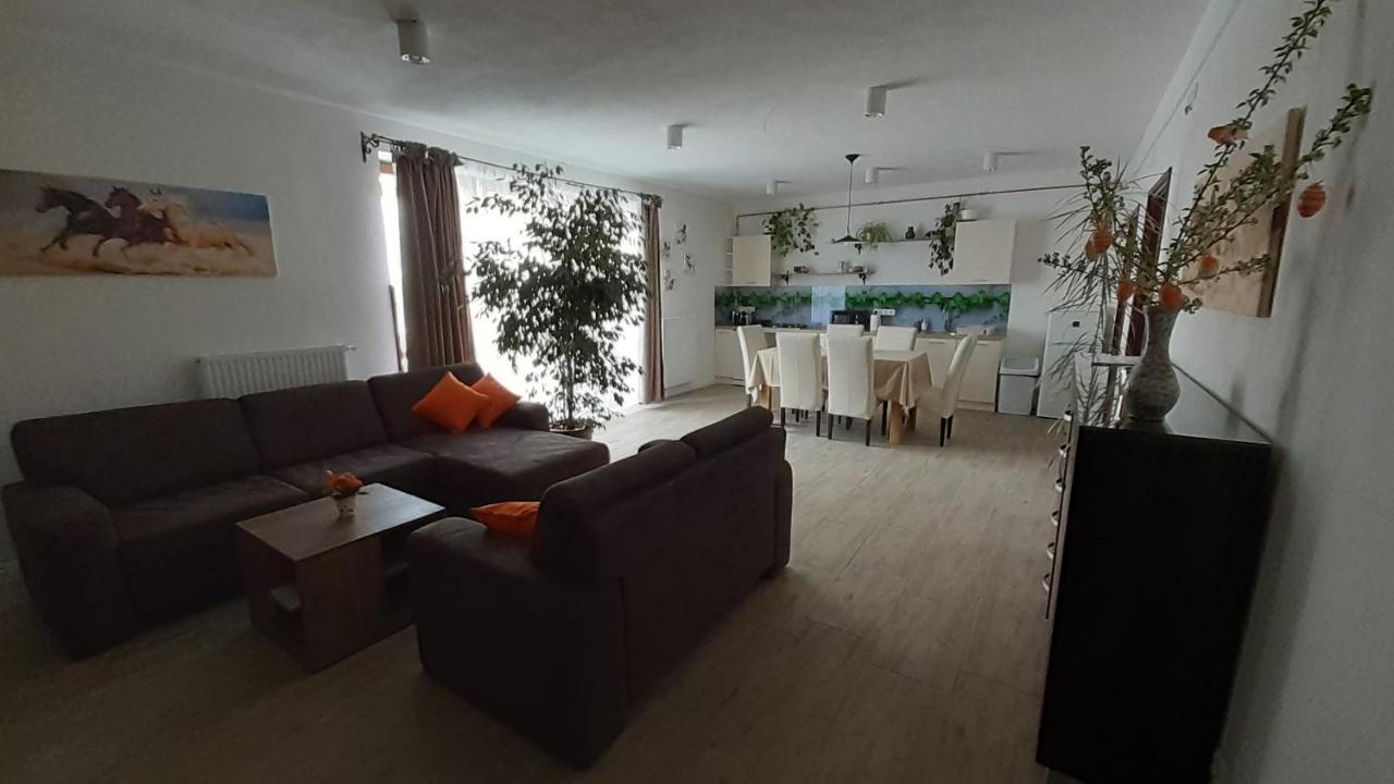Bibic Apartman A Kapolnasnyek Exterior foto